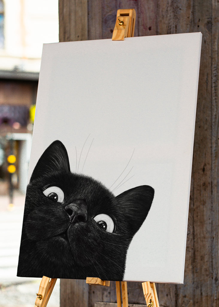 Klidná černá kočka