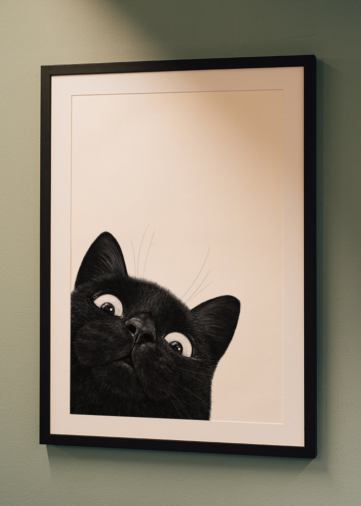 Klidná černá kočka