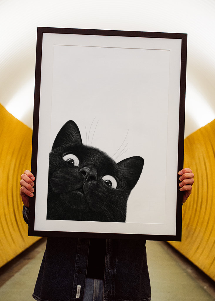 Klidná černá kočka