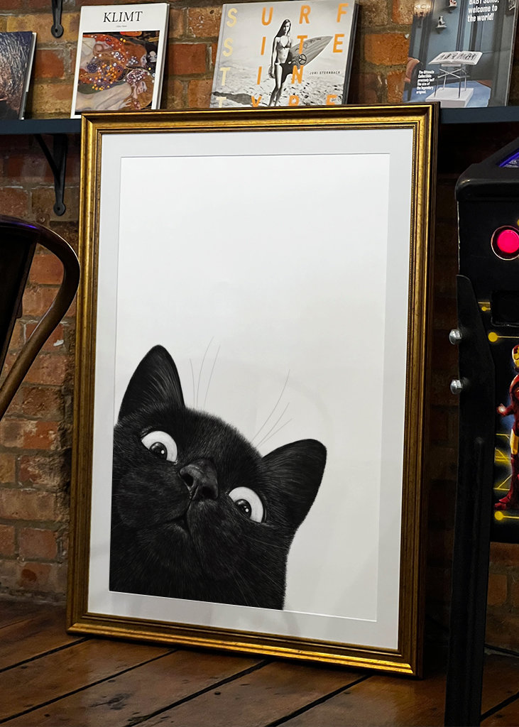 Klidná černá kočka