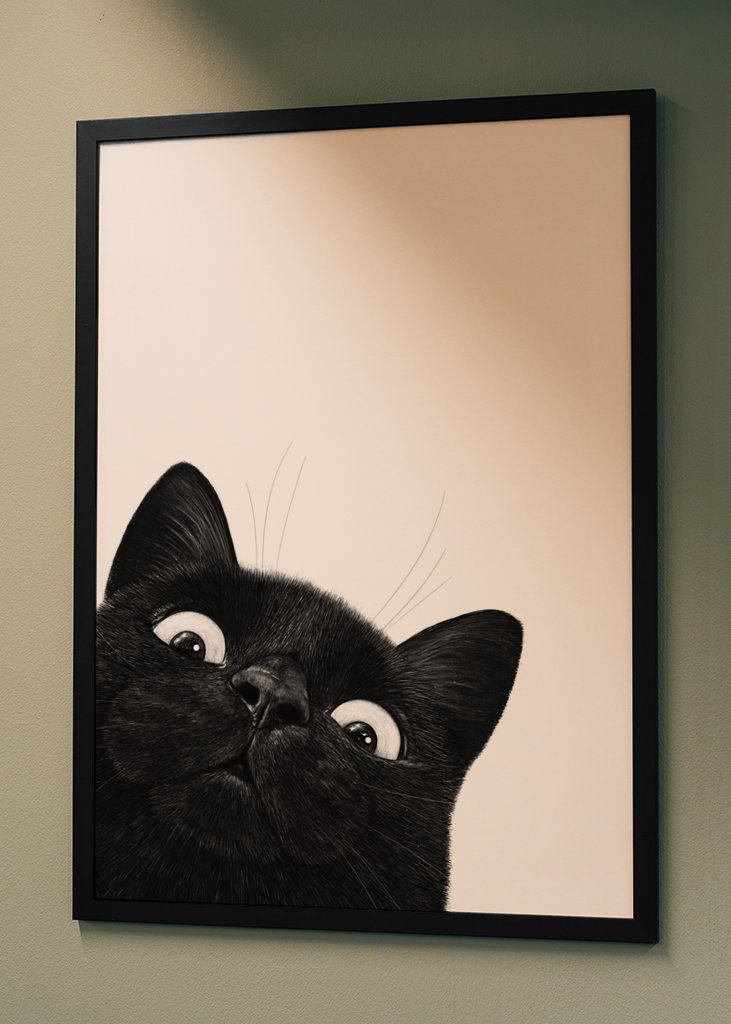 Klidná černá kočka