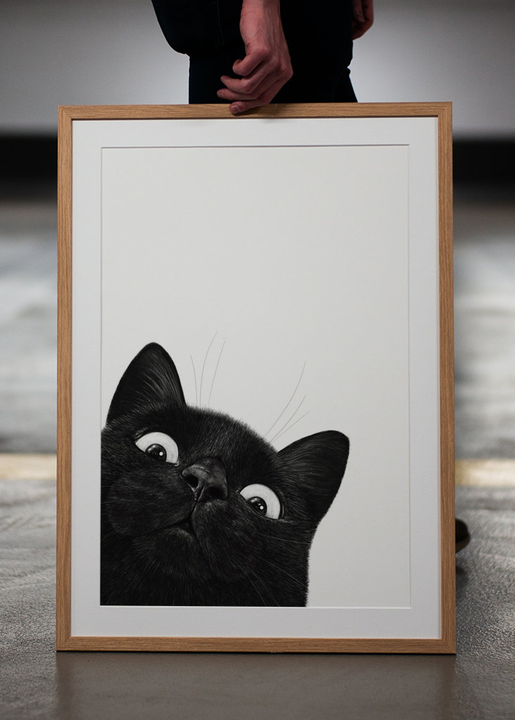 Klidná černá kočka