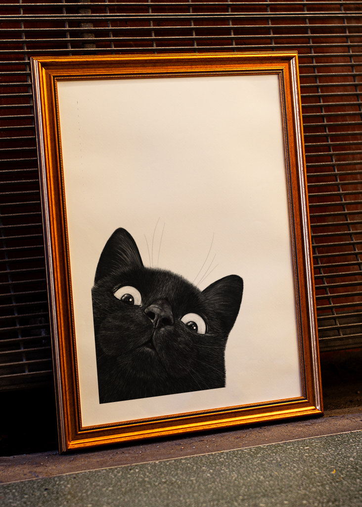 Klidná černá kočka