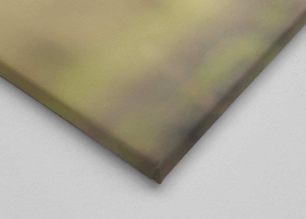 Flyvende havhjørner