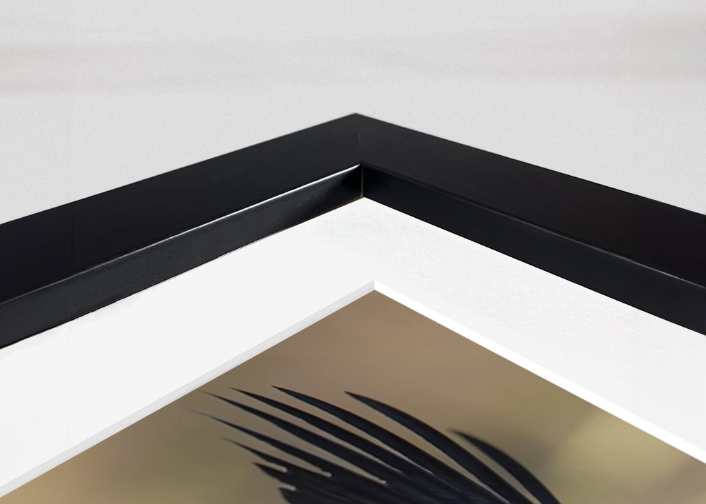 Flyvende havhjørner