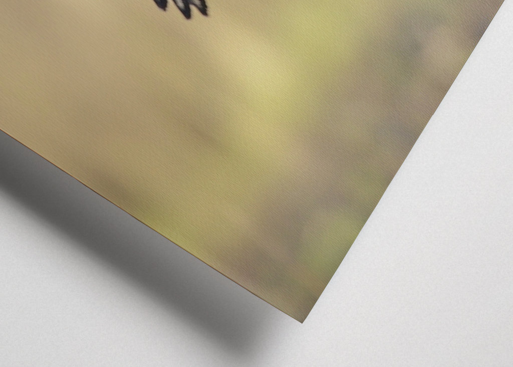 Flyvende havhjørner