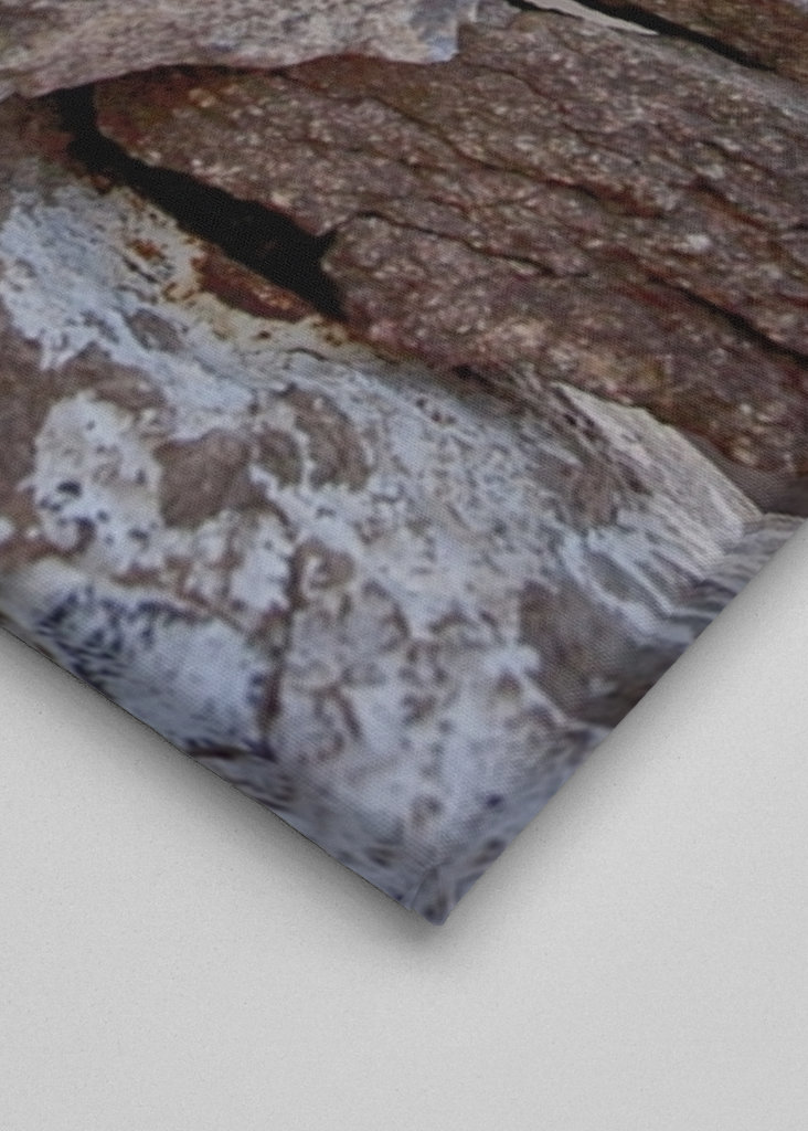 Citazioni motivazionali