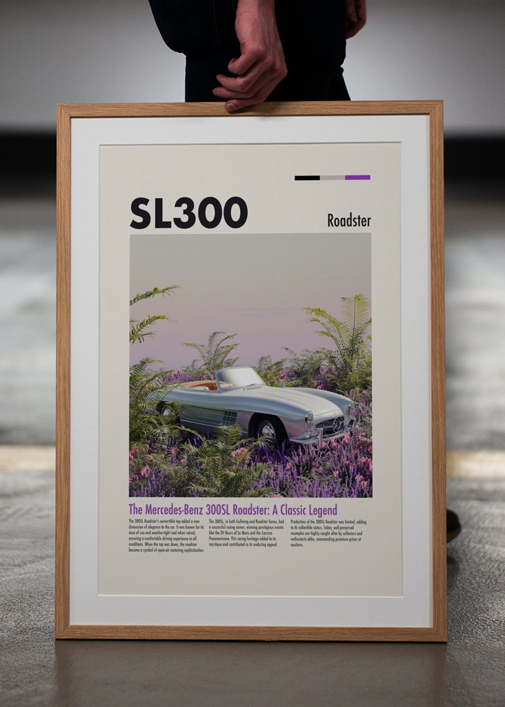 Mercedes Benz 300 SL Roadster