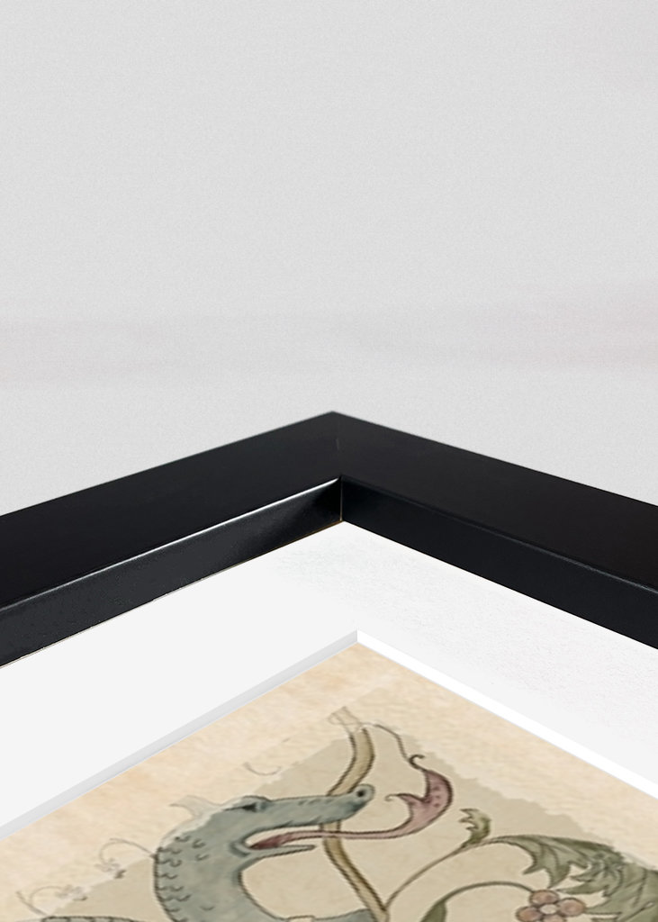 Middeleeuwse Almanak