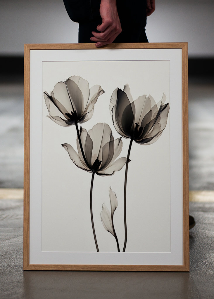 Black and White X Ray Flower