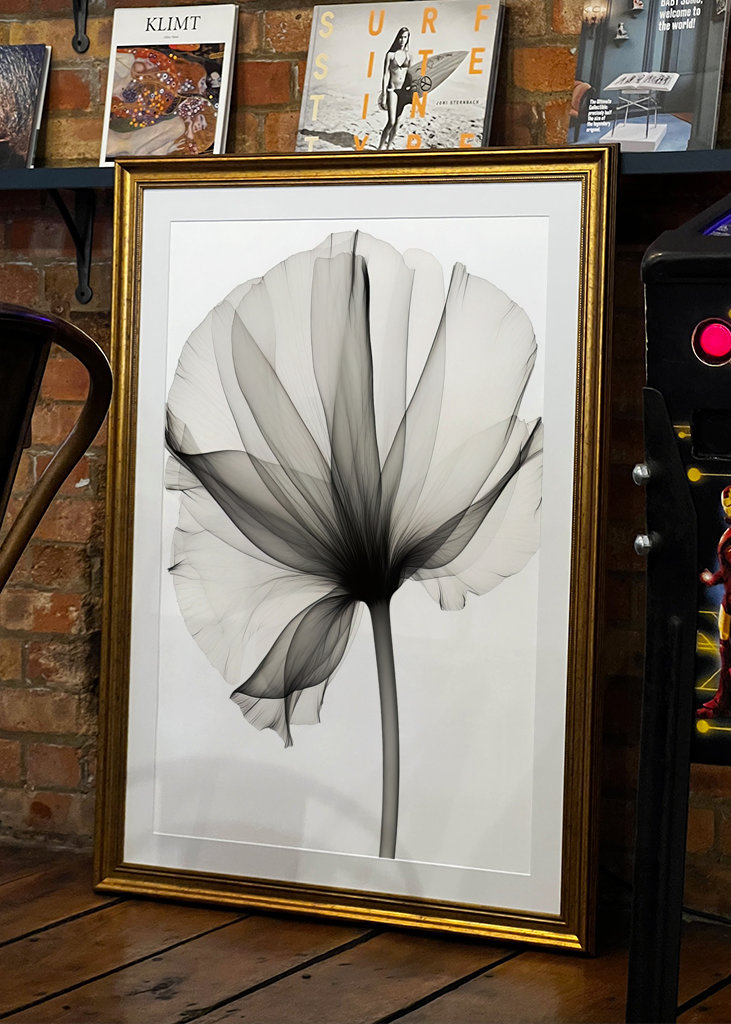 Black and White X Ray Flower 