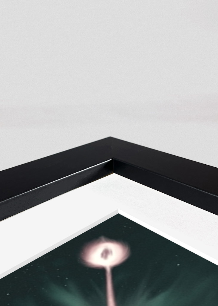 Goku vs Vegeta Kamehameha 