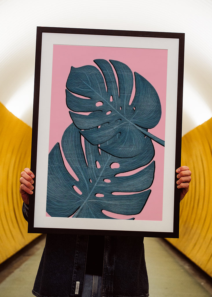 Hojas de Monstera Azul