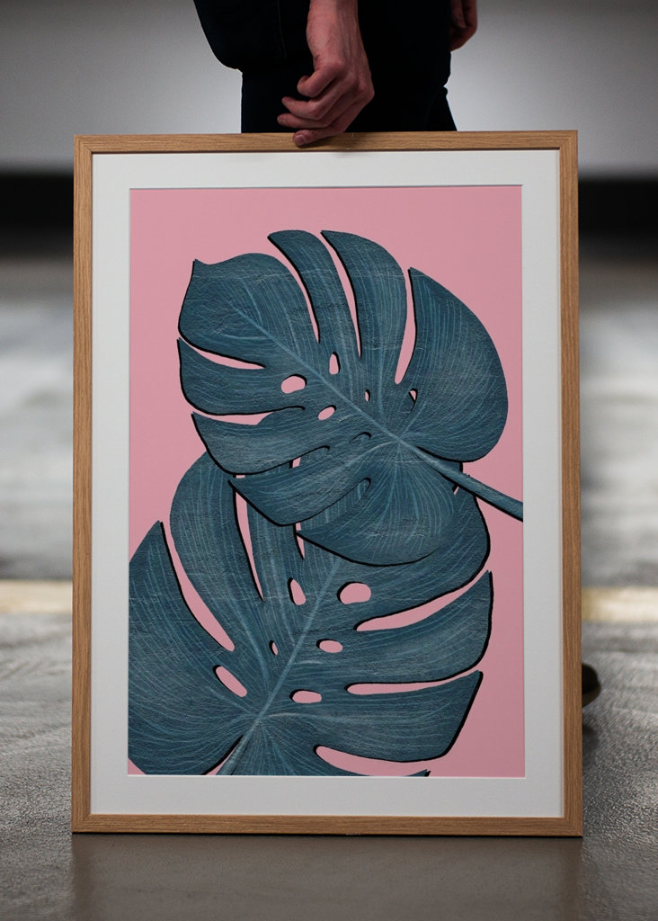 Hojas de Monstera Azul