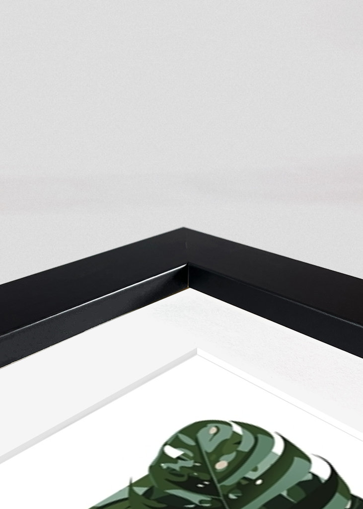 Green Monstera Plant Wall