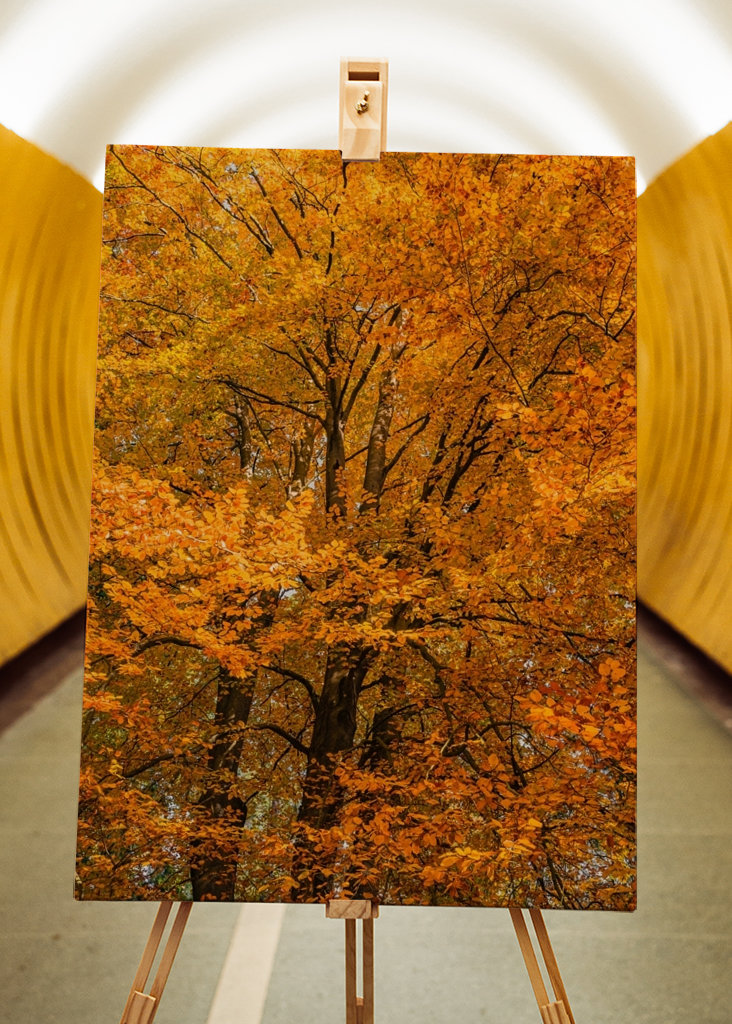 Høstskog i gult, brunt, rødt