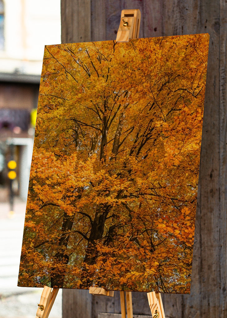 Høstskog i gult, brunt, rødt