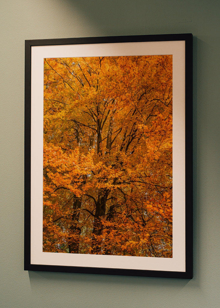 Høstskog i gult, brunt, rødt