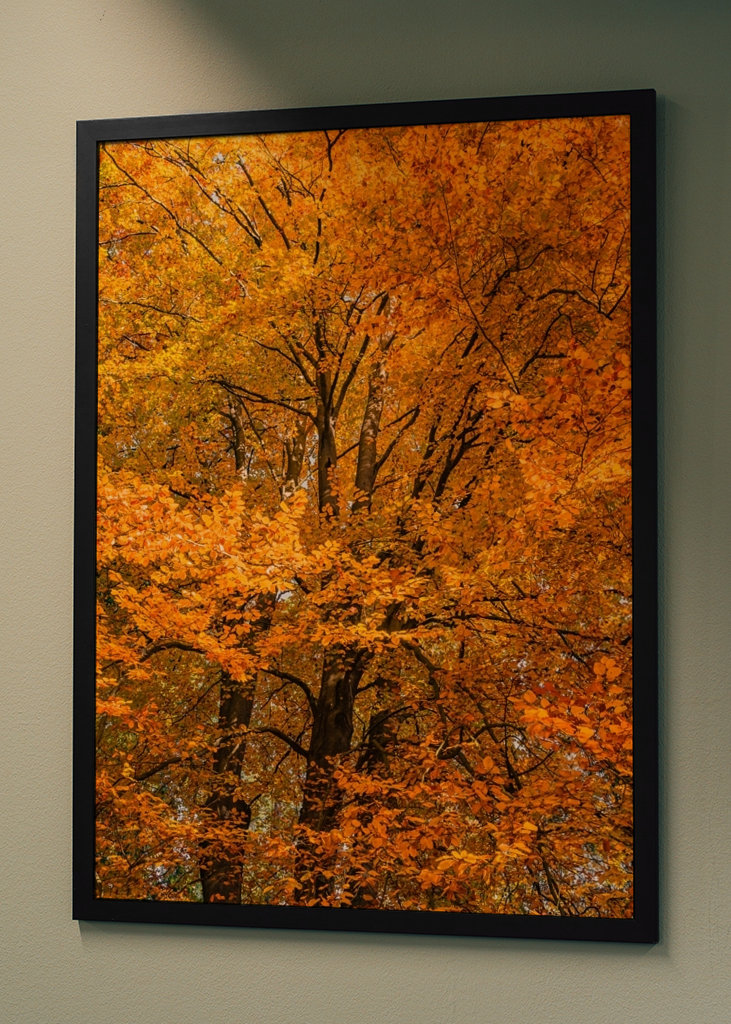 Høstskog i gult, brunt, rødt