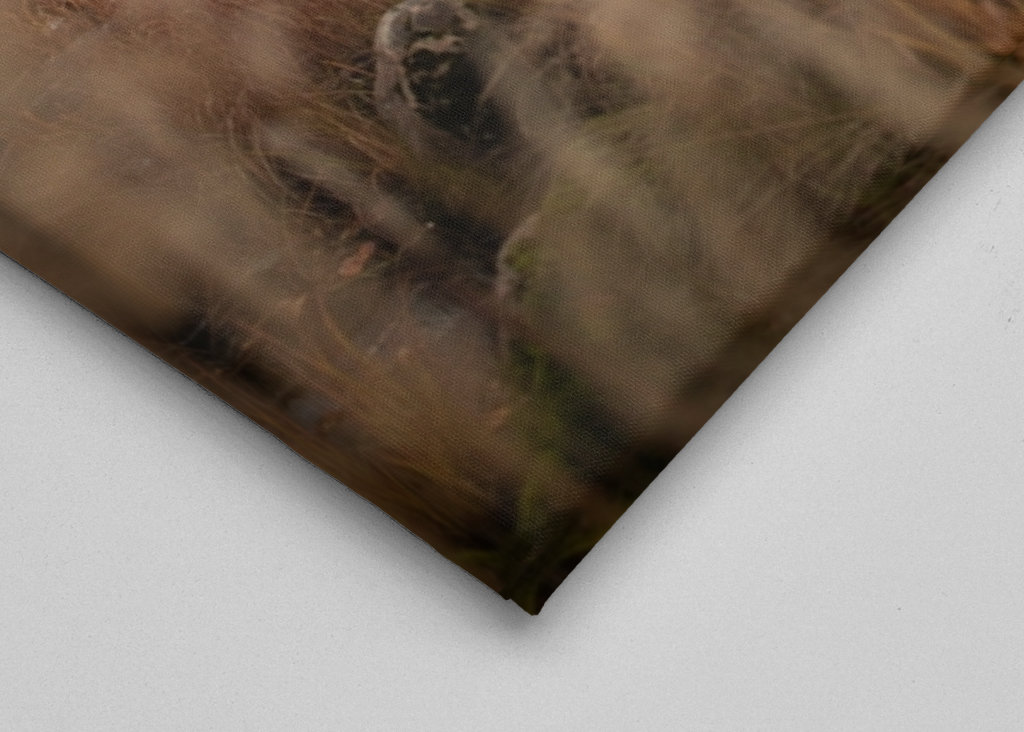 Herbst und Stromschnellen