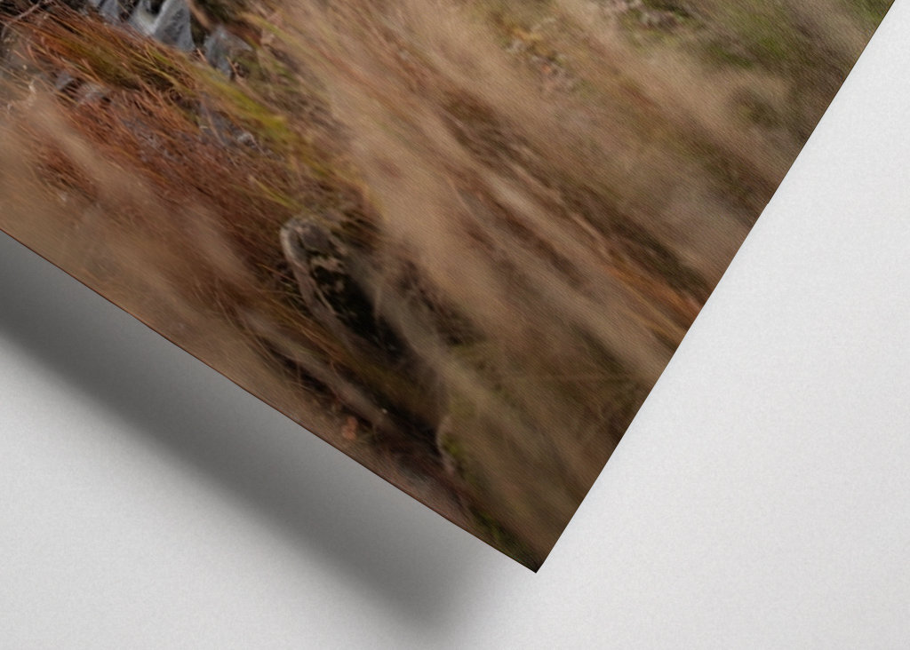 Herbst und Stromschnellen