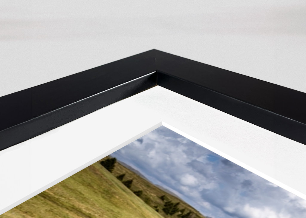 Pferde - Haflinger 2