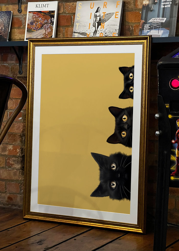 Drei schwarze Katzen. Neugier