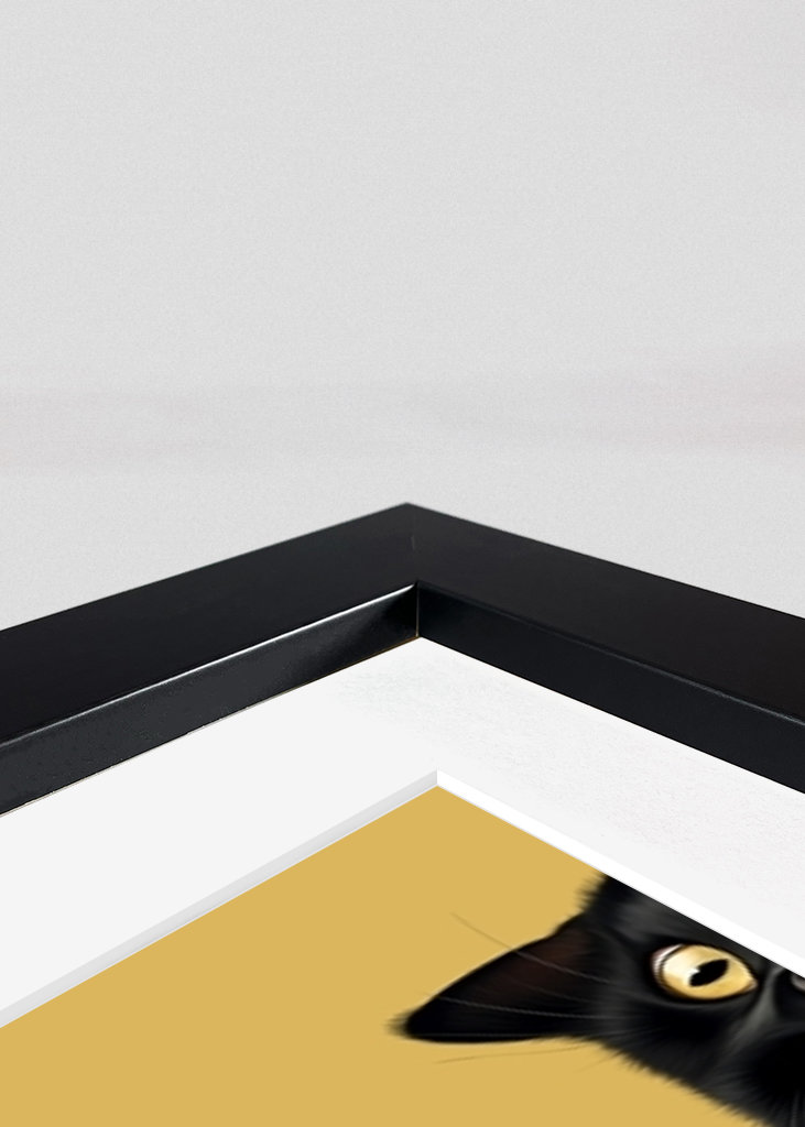 Drei schwarze Katzen. Neugier