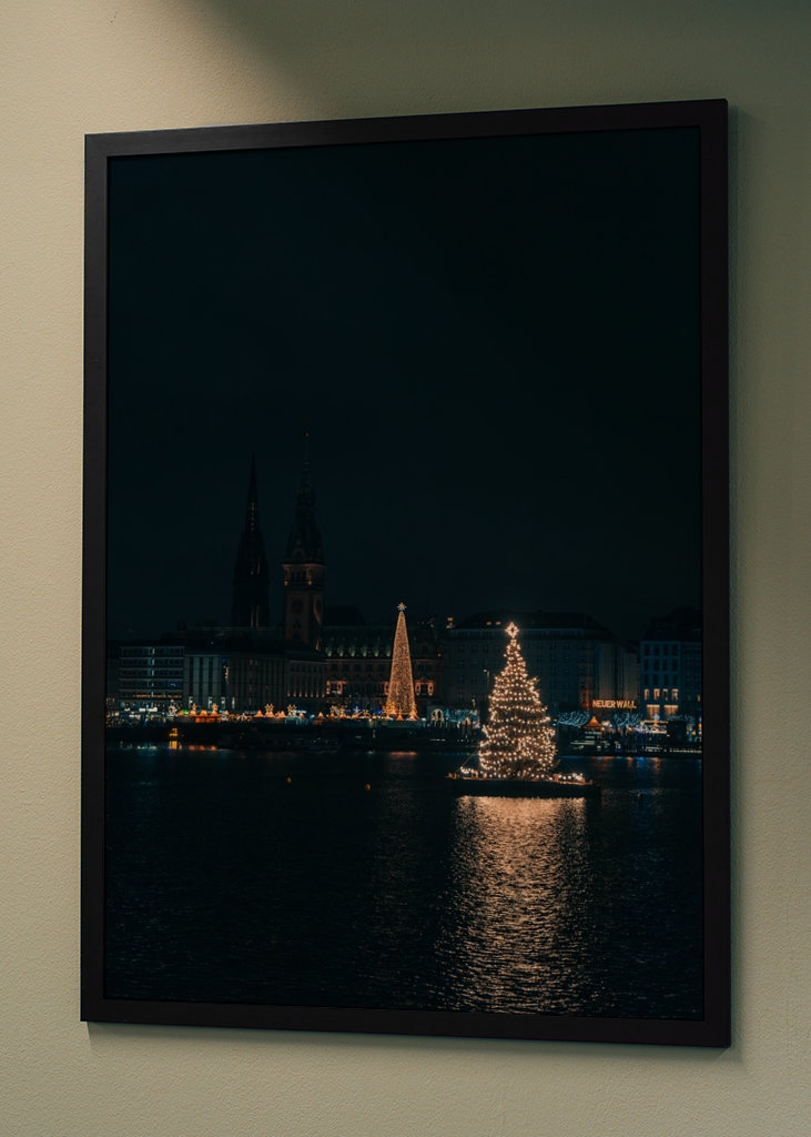 Alster bei Nacht | Hamburg