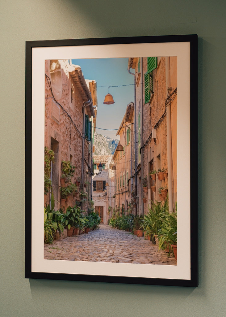 Valldemossa Pflanzen Strasse