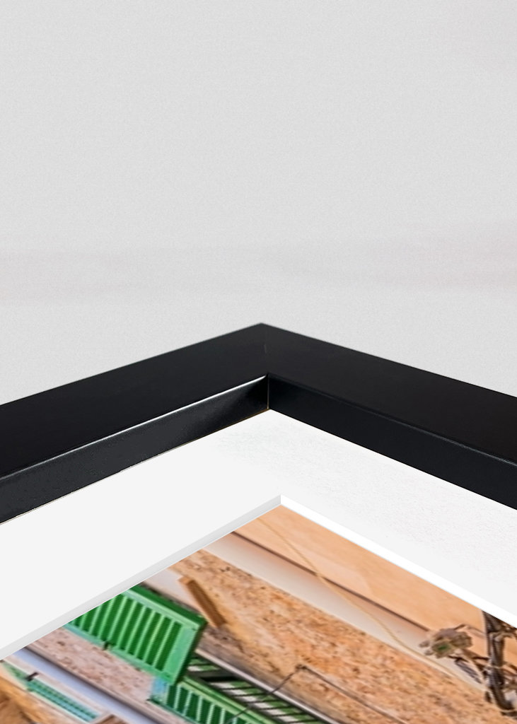 Valldemossa Pflanzen Strasse