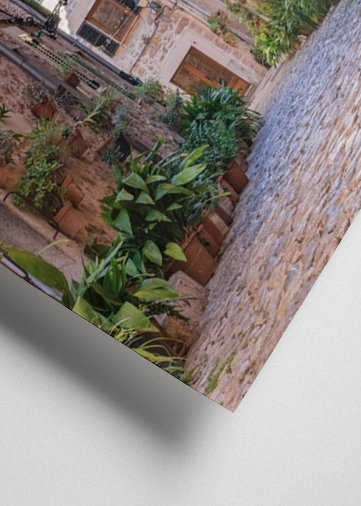 Valldemossa Pflanzen Strasse