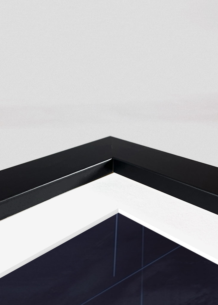 Funny Meme Cat With Strawberry