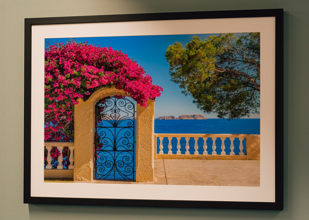 Bougainvillier Planze Meerblick