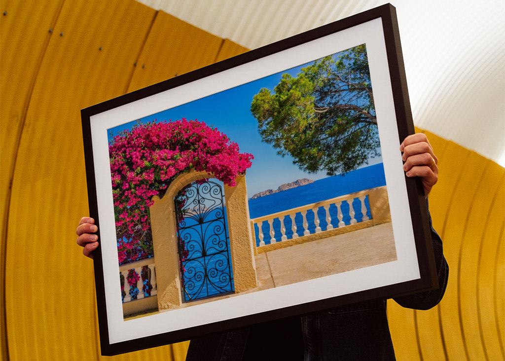 Bougainvillier Planze Meerblick