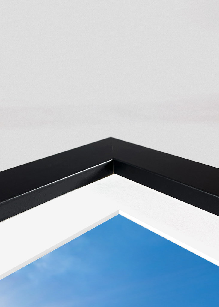 Mohnfeld, Mohnwiese, Mohn