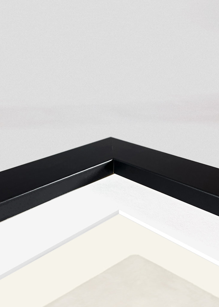 Vase and roses collection