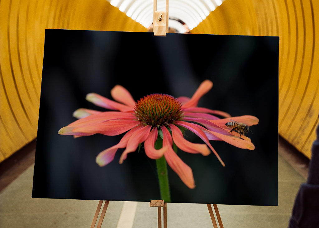 Lyserød blomst med en bi