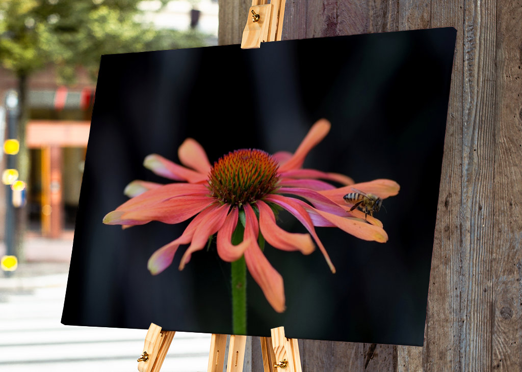 Lyserød blomst med en bi
