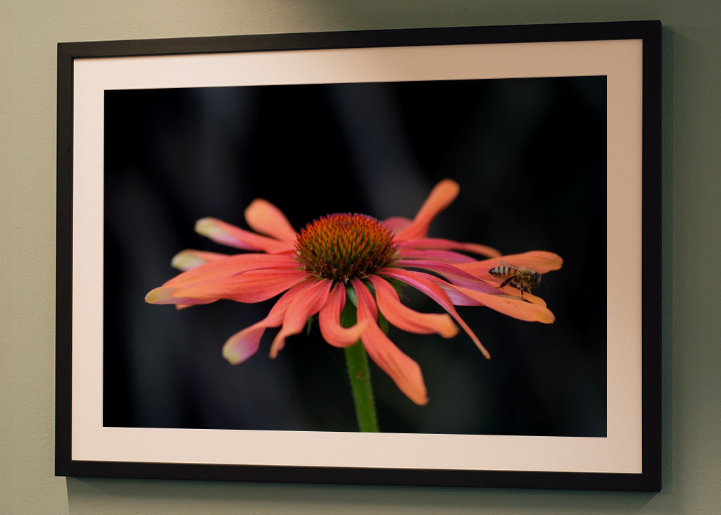 Lyserød blomst med en bi