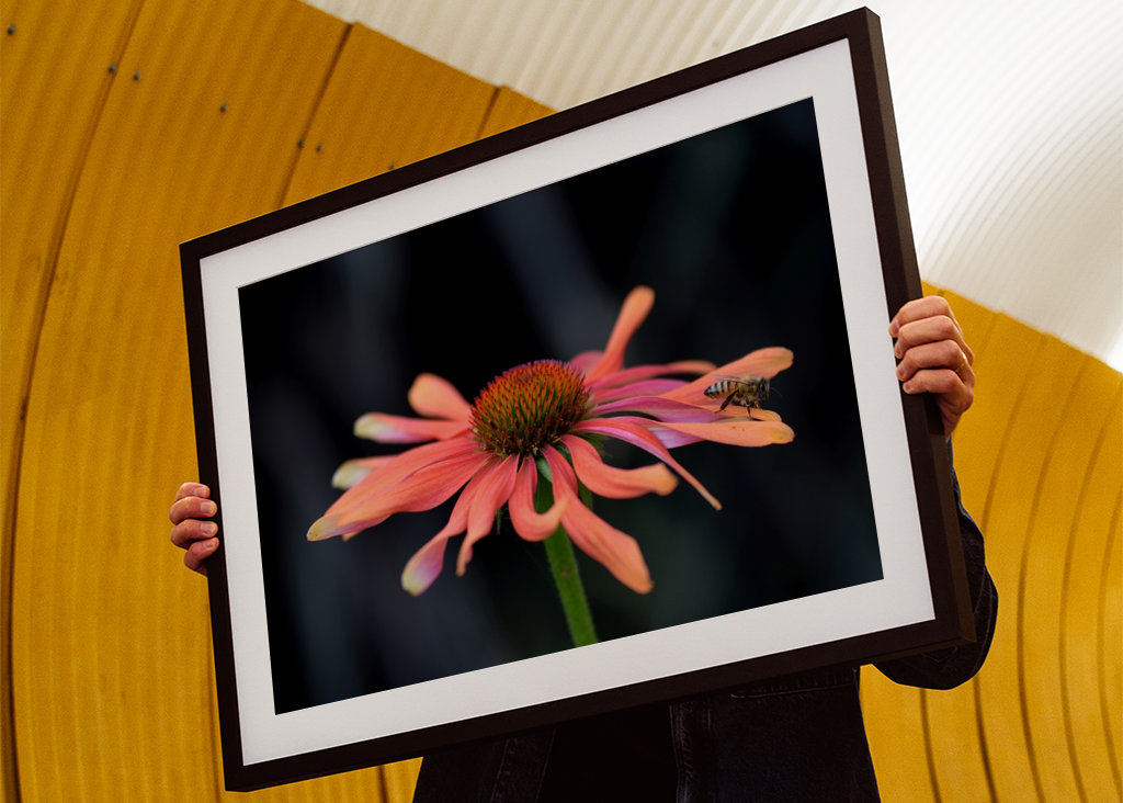 Lyserød blomst med en bi