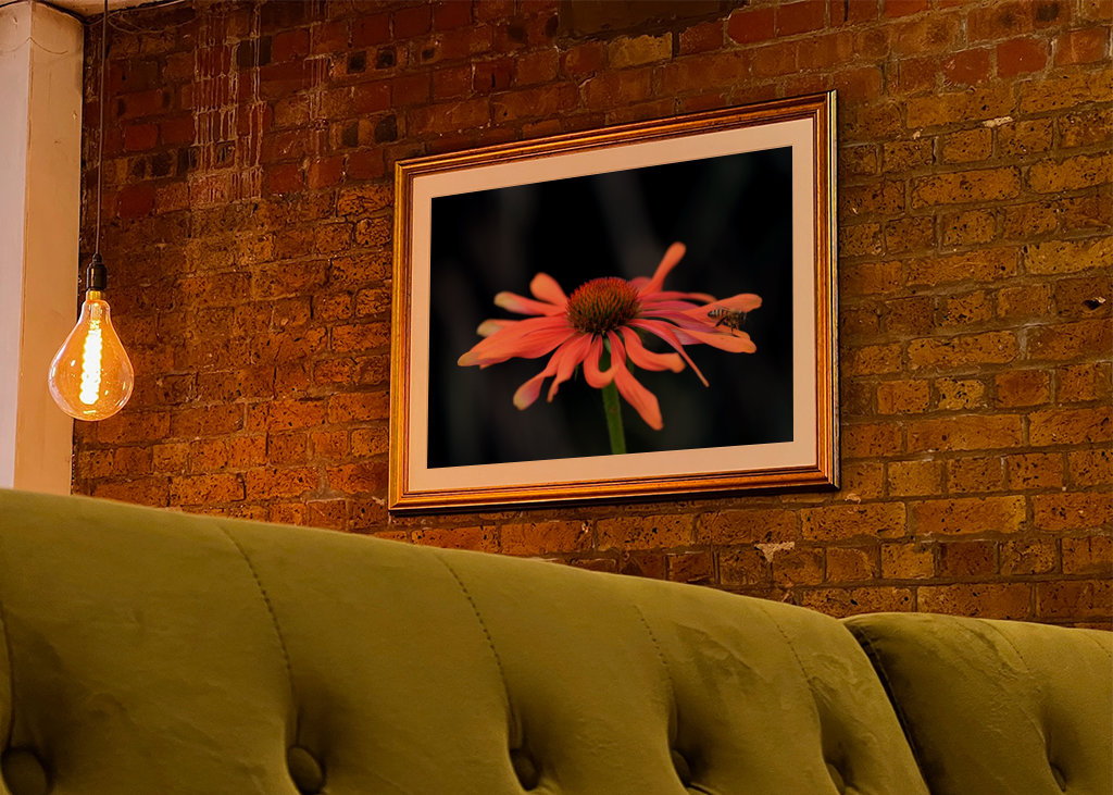 Lyserød blomst med en bi