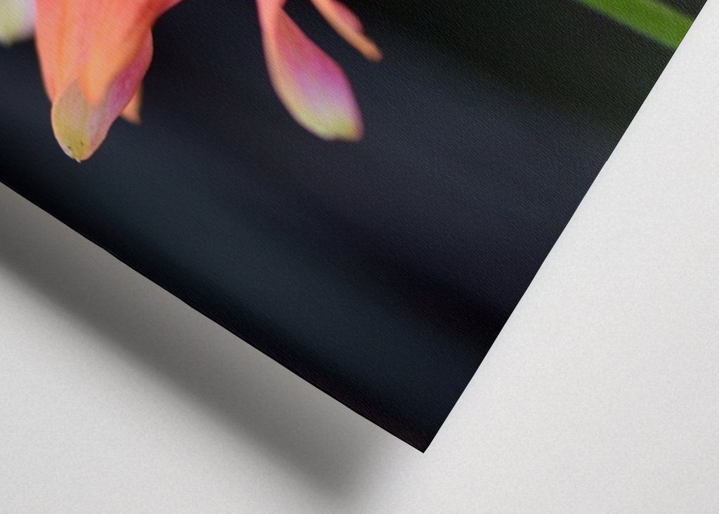 Lyserød blomst med en bi