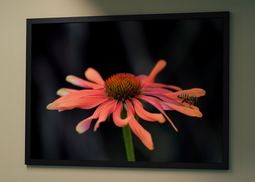 Lyserød blomst med en bi