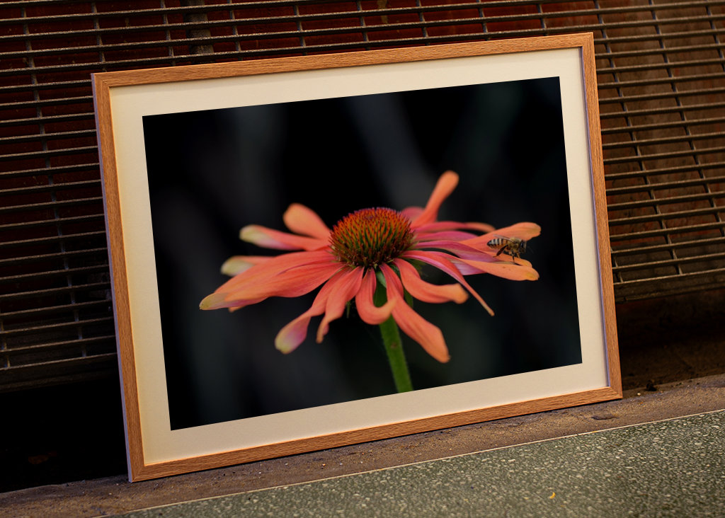 Lyserød blomst med en bi