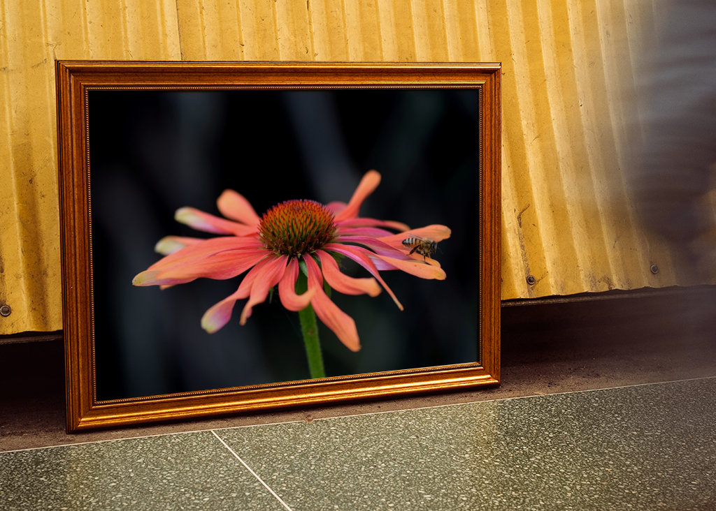 Lyserød blomst med en bi