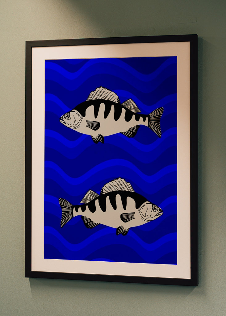 fish in blue water
