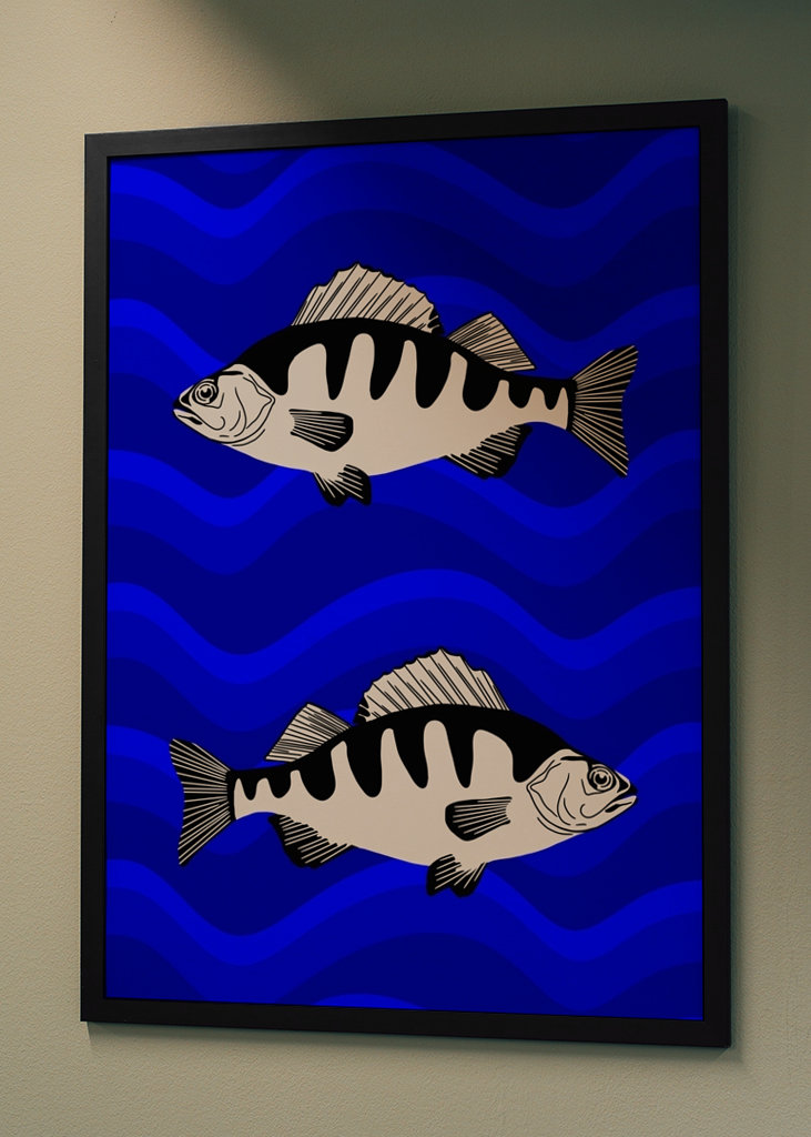 fish in blue water
