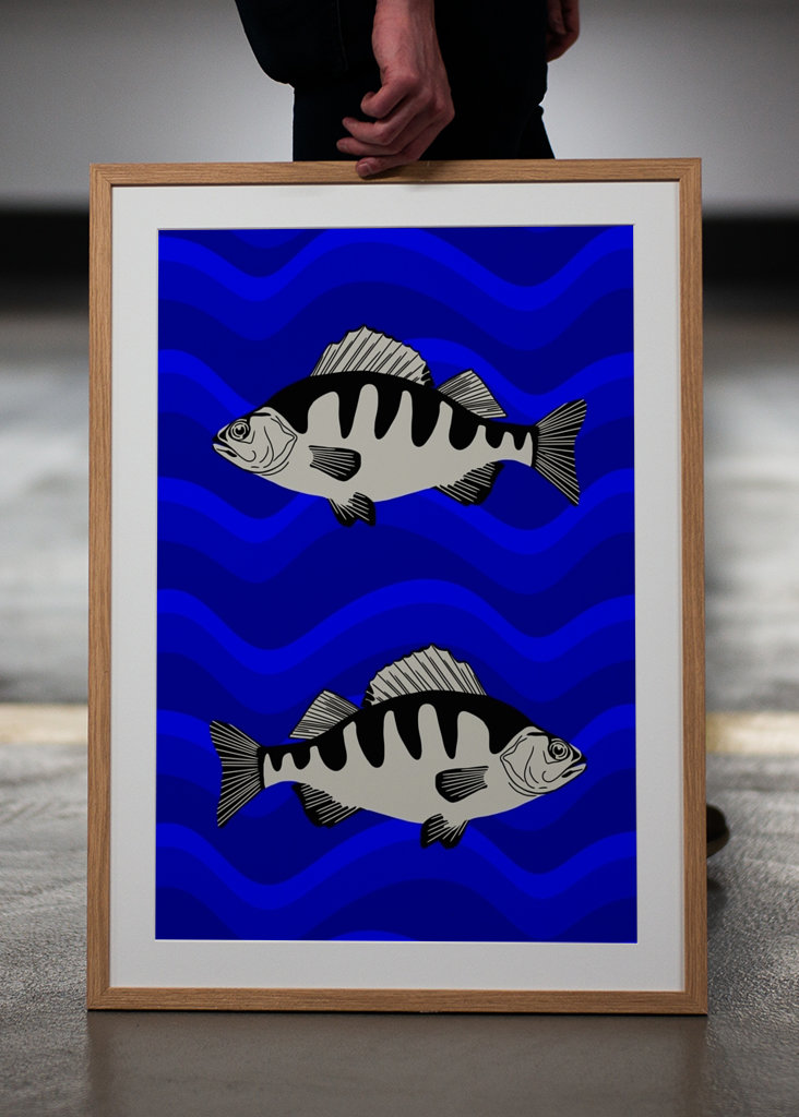 fish in blue water