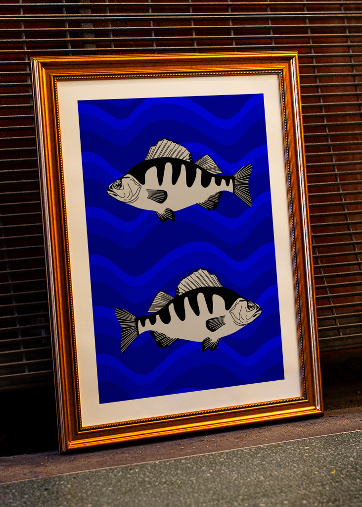 fish in blue water